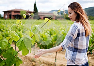 Young woman in vineyard