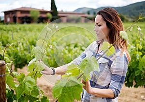 Young woman in vineyard