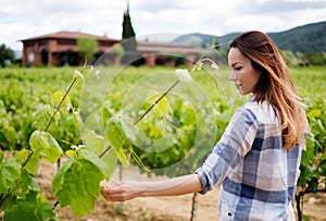 Young woman in vineyard