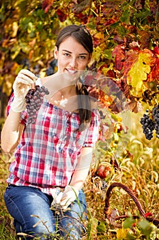 Young woman in vineyard