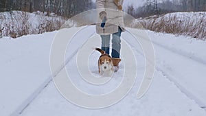 Young woman for a walk with a beagle dog in a winter park