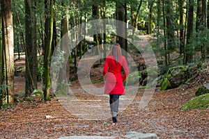 Young woman walking alone on a forest