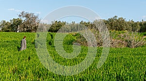 Young woman walking alone through a green meadow field