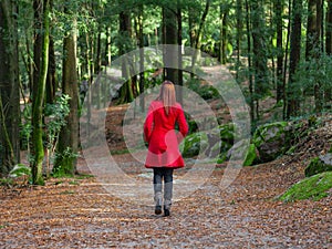 Young woman walking away alone on forest path wearing red long coat photo