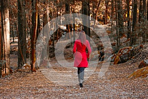 Young woman walking away alone on a forest path