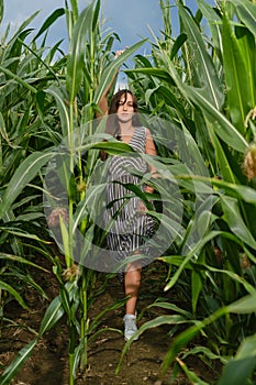 Young woman walking in the corn field