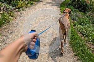 Giovane donna il cane nel parco 