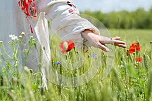 Young woman walking in green wheat field on summer day hand closeup