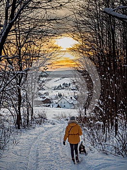 A young woman walking with her dog on a field meadow amid trees in winter with a view of the setting sun