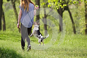 Young woman walking with a jumping dog playing training
