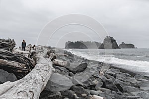 Young woman walking among rocks and driftwood on Rialto Beach in Olympic National Park