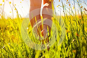 Young woman walking in spring field at sunset among fresh grass and flowers barefooted