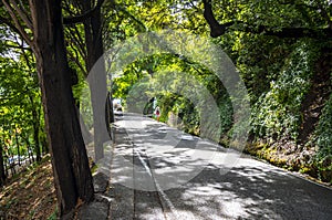 A young woman walks along a tree lined and covered street in Nice France