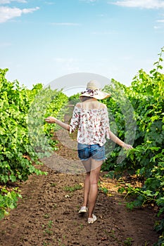 A young woman walks through a vineyard on a wine farm or estate