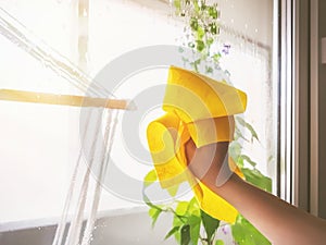 Young woman washing a window with a rag