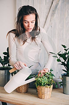 Young woman watering flowerpots at home. Casual lifestyle series in modern scandinavian interior
