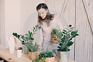 Young woman watering flowerpots at home. Casual lifestyle series in modern scandinavian interior
