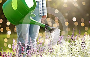 young woman watering flowers at garden