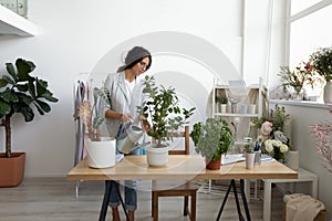 Young woman watering green plant in office