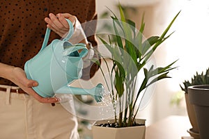 Young woman watering plant at home. Engaging hobby