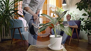 Young woman watering plant in modern home man reading from tablet