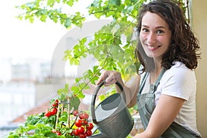 Young woman watering tomatoes on her city balcony garden - Nature and ecology theme