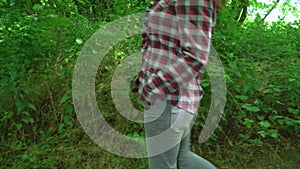 young woman wear checkered shirt and jeans walking with greyhound dog in summer forest