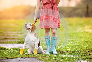 Young woman in wellies walk her dog photo