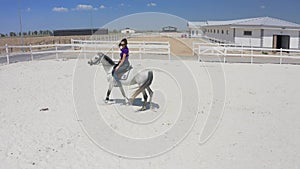 A young woman on a white Arabian horse walks on a white sand court in an equestrian club. Aerial drone view.