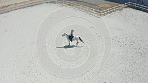 Young woman on a white Arabian horse on a white sand court in an equestrian club. Aerial drone view.
