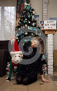 young woman and white dog in santa hat have fun at home in front of christmas tre