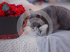 young woman in white dres is sitting on bed.