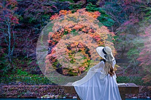 A young woman in a white dress sits and admires the changing colors of the leaves