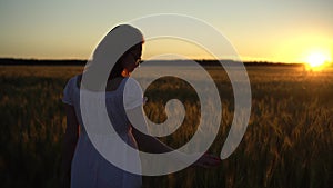 A young woman in a white dress walks through a wheat field at sunset. The girl goes towards the sunset. Back view.