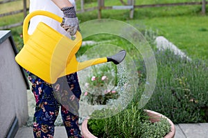 A young woman in a white T-shir holding yellow watering can and watering plants