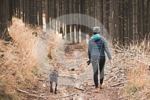 Young woman in winter clothes and her dog Cesky fousek walks through forest in morning. Walk in the woods with a hunting dog.