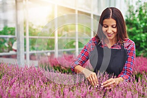 Young woman working in a greenhouse tending plants
