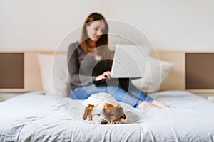 Young woman working on laptop at home, cute small dog sleeping besides. Work from home concept