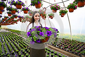 Young woman working in nursery garden and showing pot with beautiful blooming peetunia flower. Growing flowers