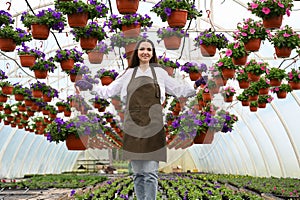 Young woman working in nursery garden and showing pot with beautiful blooming petunia flower. Growing flowers
