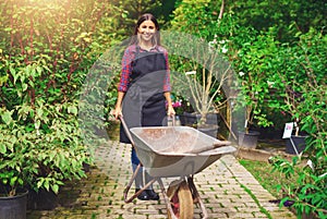 Young woman working in a nursery greenhouse