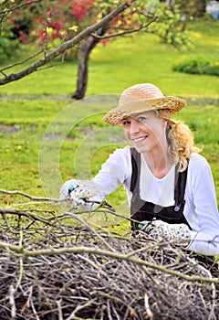 Young woman working in orchard, after tree pruning, pile of cut branches and twigs of fruit trees, cutting branches of apple trees