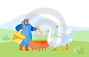 Young Woman in Working Robe Feeding Geese on Nature. Female Farmer, Villager Character at Work