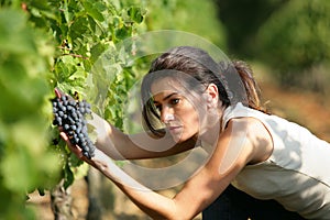 Young woman working in a vineyard