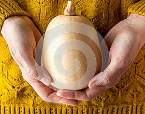 Young Woman in Yellow Knitted Sweater Holding in Hands Small Butternut Squash White Pumpkin. Harvest Halloween Thanksgiving Autumn