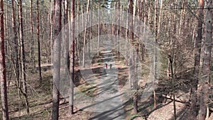 Young women cycling on bikes among forest. Females riding on bicycles outdoor. Triathletes pedaling on bikes in park. Cycling conc