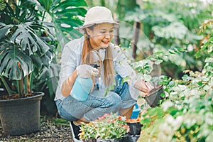 Young women doing hobbies taking care of plants, watering, shoveling flowers.
