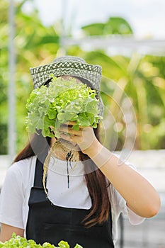 Young women are harvesting organic vegetables from hydroponics to grow vegetables that are healthy. Growing with a hydroponic