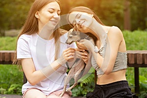Young woman holding a dog in her arms, girl kissing a puppy, happy pet terrier outdoor