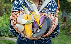 Young women holding wicker basket of freshly picked organic vegetables.